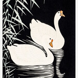 Weiße chinesische Gänse schwimmen von Reeds von Ohara Koson, klassischer feiner Leinwand-Papierdruck, Wandkunst, Dekor, Zuhause, Geschenk, Zuhause, Ölgemälde-Reproduktion
