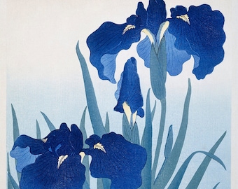 Iris Flowers by Ohara Koson Classic Fine Canvas Paper Print Wall Art Decor Home Gift Home Oil Painting Reproduction