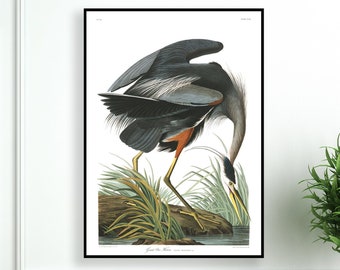 ¡EN VENTA! Great Blue Heron 18" x 26" Paper Print, Audubon Birds vintage Prints, Nautical vintage art, Audubon Bird Poster (18" x 26")
