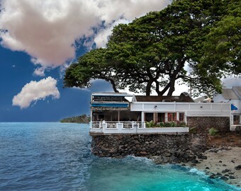 Lahaina, Hawaii Front Street Restaurant Print Poster Canvas or Paper Photograph Nature Photography Wildlife Photos Kauai Maui Restaurant