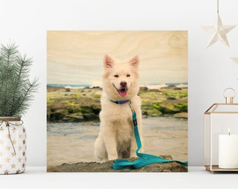 Regalo conmemorativo de la mascota de madera para la pérdida de mascotas en memoria del perro Perro Regalo conmemorativo Pérdida del perro Foto del perro Regalo de la pérdida del perro Mascota Ideas de regalo conmemorativo del perro Memorial del perro