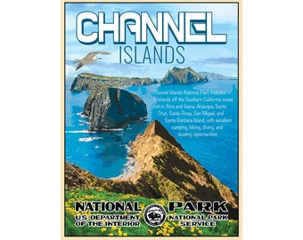 Channel Islands National Park California Travel Poster National Park Poster Print Art Vintage Canvas Paper Santa Barbara Reproduction
