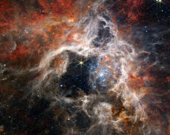 Nebulosa Tarántula James Webb Telescopio Espacial de la NASA Espacio Altamente Detallado Acantilados Cósmicos Estrella Nacimiento Lienzo Nasa Cartel Impresiones Espaciales Arte Galaxy 1