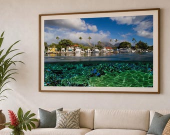Lahaina, Hawái, bajo el agua, por Dan Merkel Photography. Impresión en póster, lienzo o papel. Fotografía de naturaleza. Fotos de vida silvestre. Kauai, Maui.