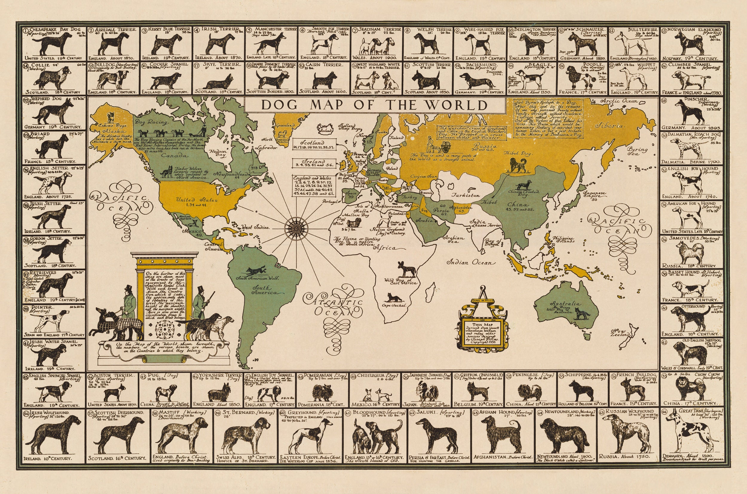 1935 Dog Map of the World Dog Breeds Print - Etsy