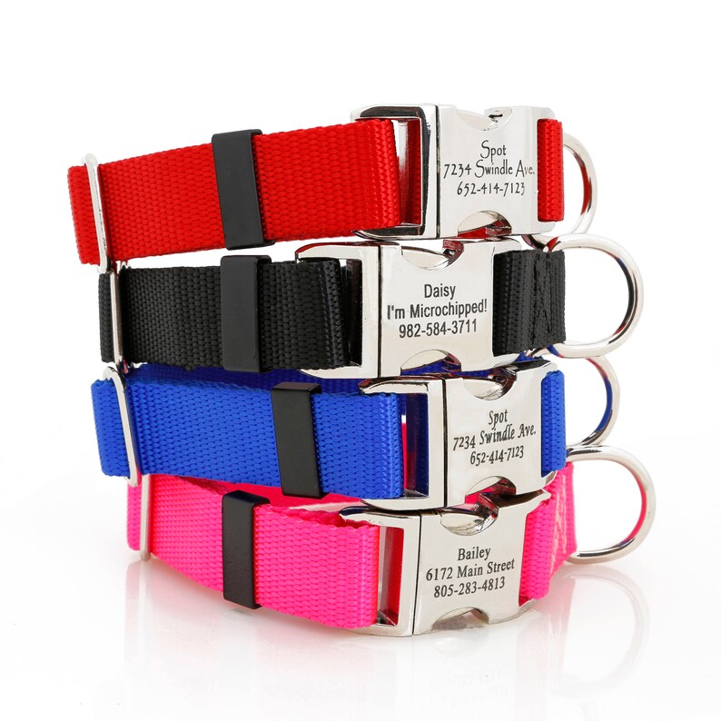 Metal Engraved Buckle Dog Collar Personalized Customized Etsy