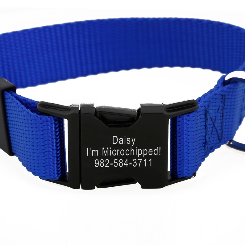 Metal Engraved Buckle Dog Collar Personalized Customized Etsy