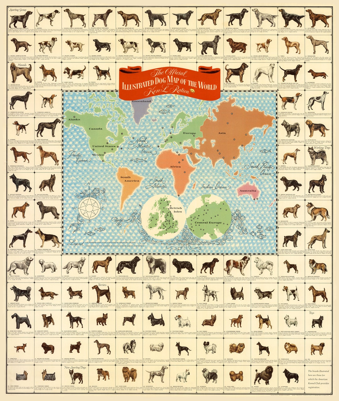The Official Illustrated DOG MAP of the World, Dog Breeds Print, Dog