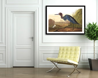 May include: A framed print of a blue heron standing in a marsh, with a white bird in the background. The print is titled "The Blue Heron".