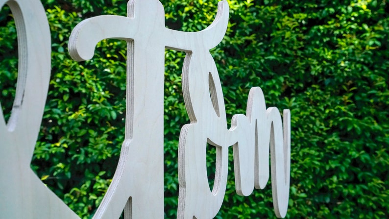 May include: White wooden cutout of the word "Twenty" with a cursive font. The cutout is against a green leafy background.