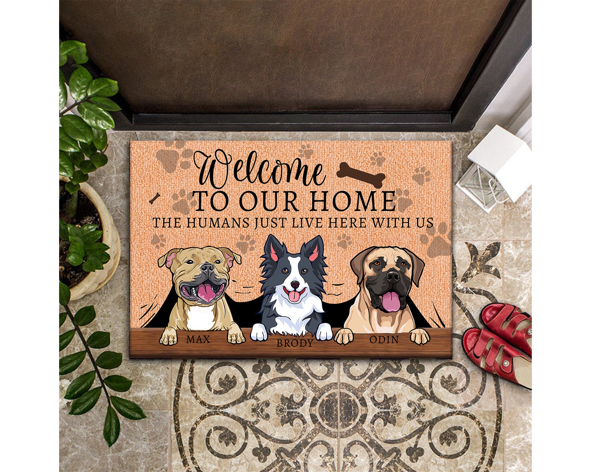 Personalized Dogs Name Doormat Funny Doormat Funny Etsy