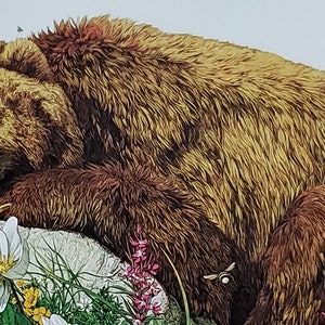 Bev Doolittle „BUGGED BEAR“ Exlibris Druck Wandkunst BD19