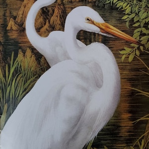 WHITE MAGIC EGRET Art Print Bookplate Painted by Bev Doolittle  – Wall Art BD54