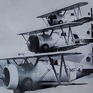 May include: Three black and white biplanes stacked on top of each other. The planes are all the same model and have the same markings. The top plane has the number "10" on the side, the middle plane has the number "10" on the side, and the bottom plane has the number "4" on the side.