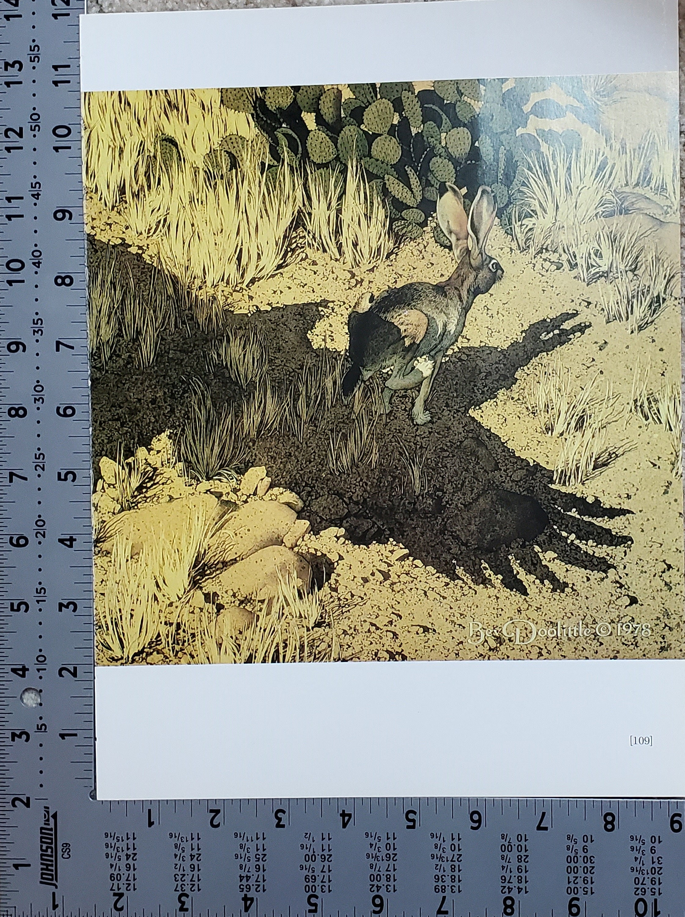 THE ART OF ＢＥＶ　DOOLITTLE The Art of Bev Doolittle: MacLay, Elise, Doolittle, Bev