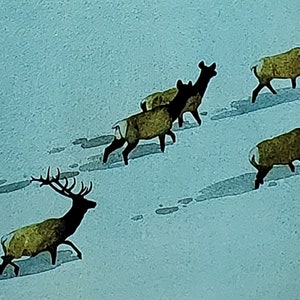 Bev Doolittle "OUT In The OPEN" Buchdruck Wandkunst BD17