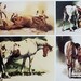 see more listings in the Bev Doolittle Wall Art section