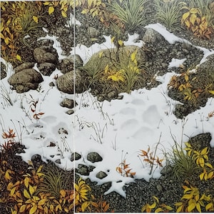 WOLF TRACK” Art Print Bookplate Painted by Bev Doolittle  – Wall Art BD60