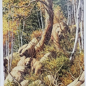 Bev Doolittle DETAIL “WILDERNESS! WILDERNESS?”  Bookplate Print Wall Art BD65