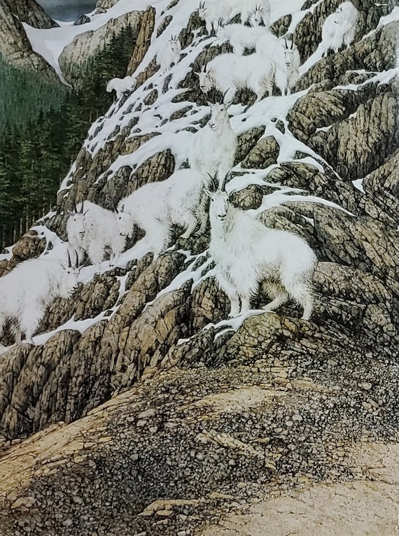 Bev Doolittle “HIGH LIFE” Bookplate Prints Wall Art BD55 - Etsy Norway