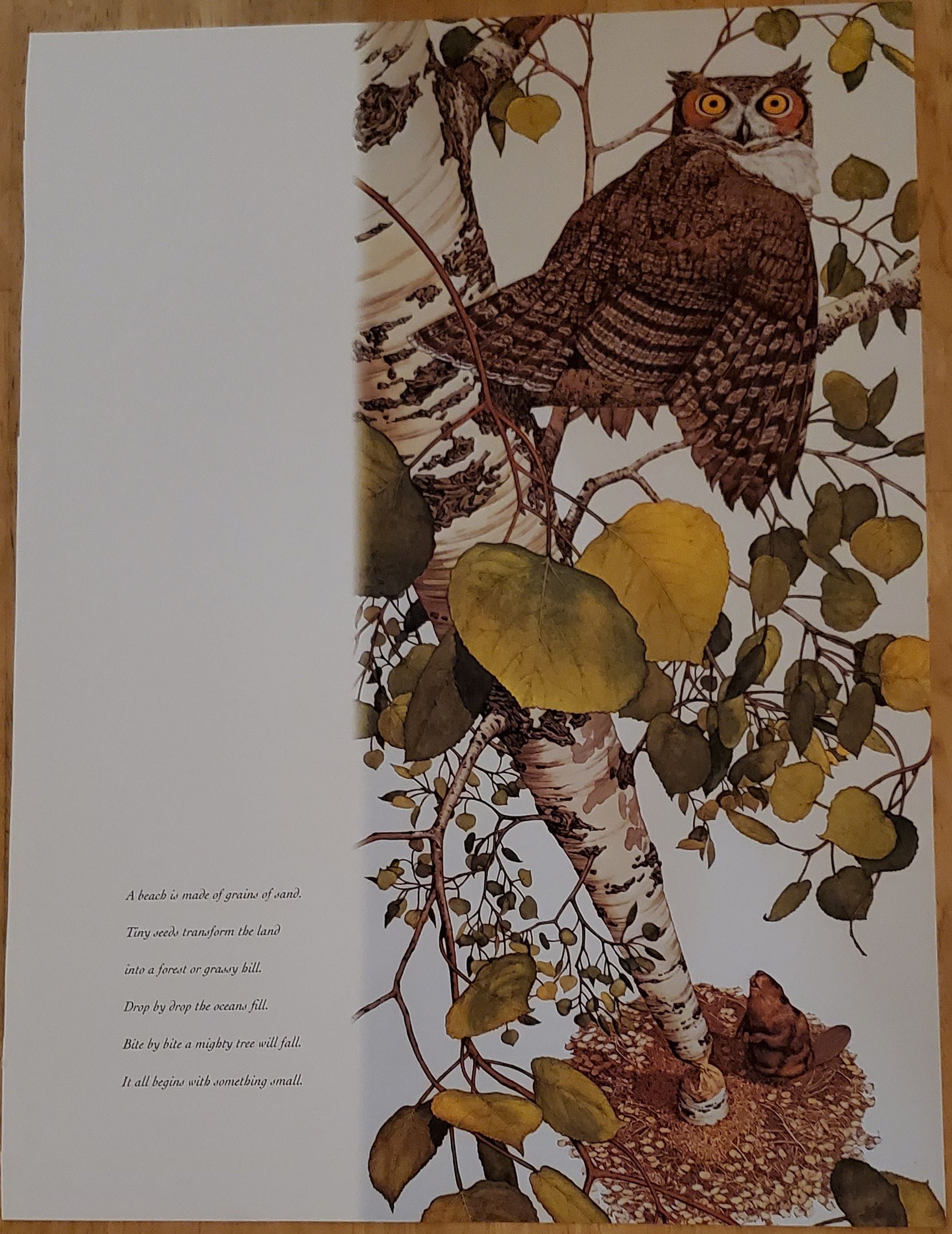 Bev Doolittle “OWL” Bookplate Prints Wall Art BD72 - Etsy