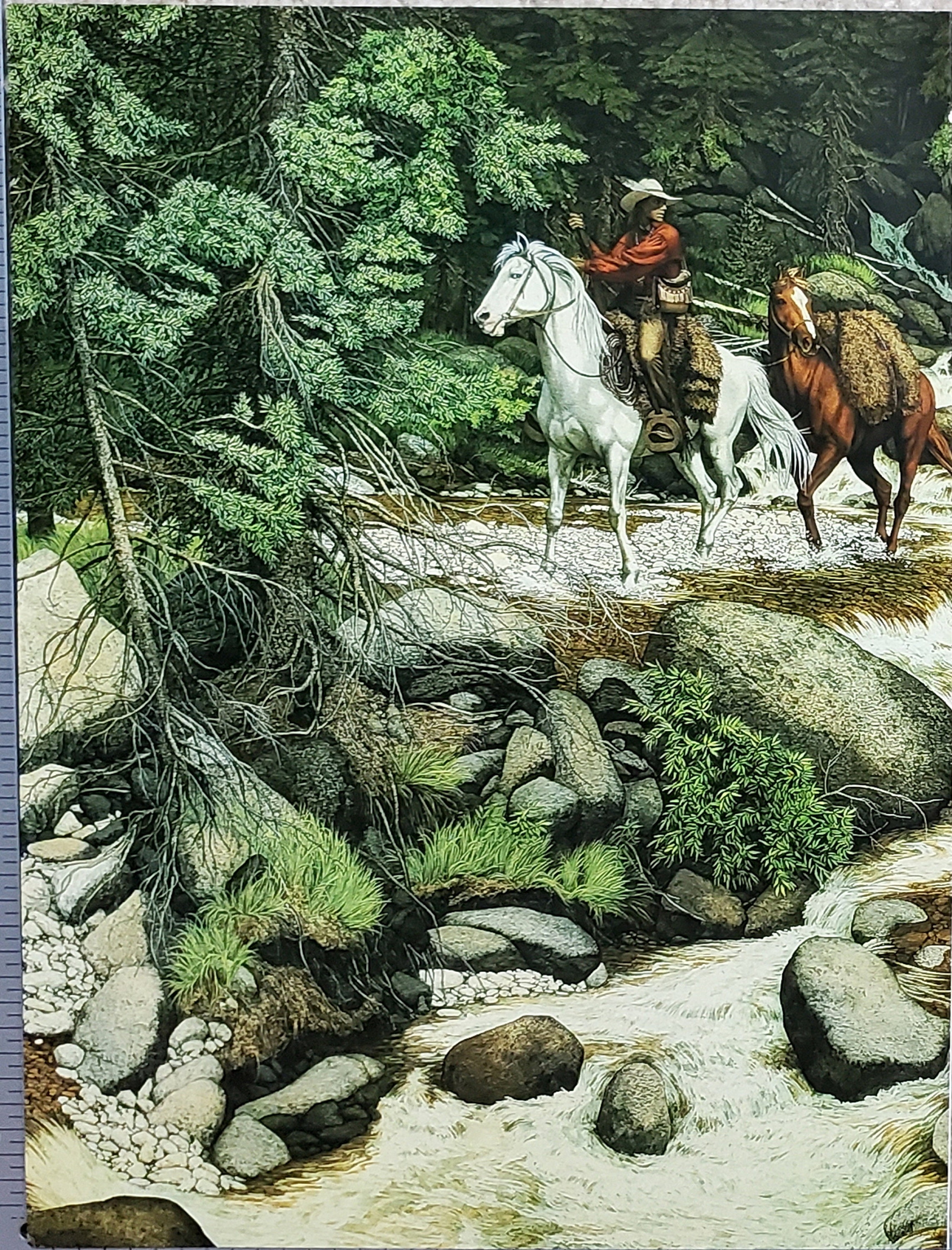 THE ART OF ＢＥＶ　DOOLITTLE The Art of Bev Doolittle: MacLay, Elise, Doolittle, Bev