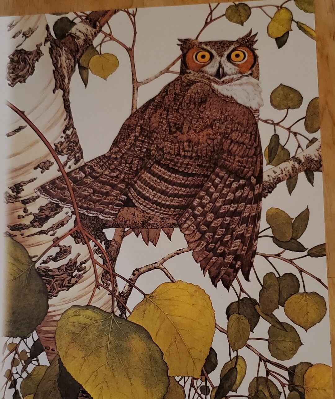 Bev Doolittle “OWL” Bookplate Prints Wall Art BD72 - Etsy