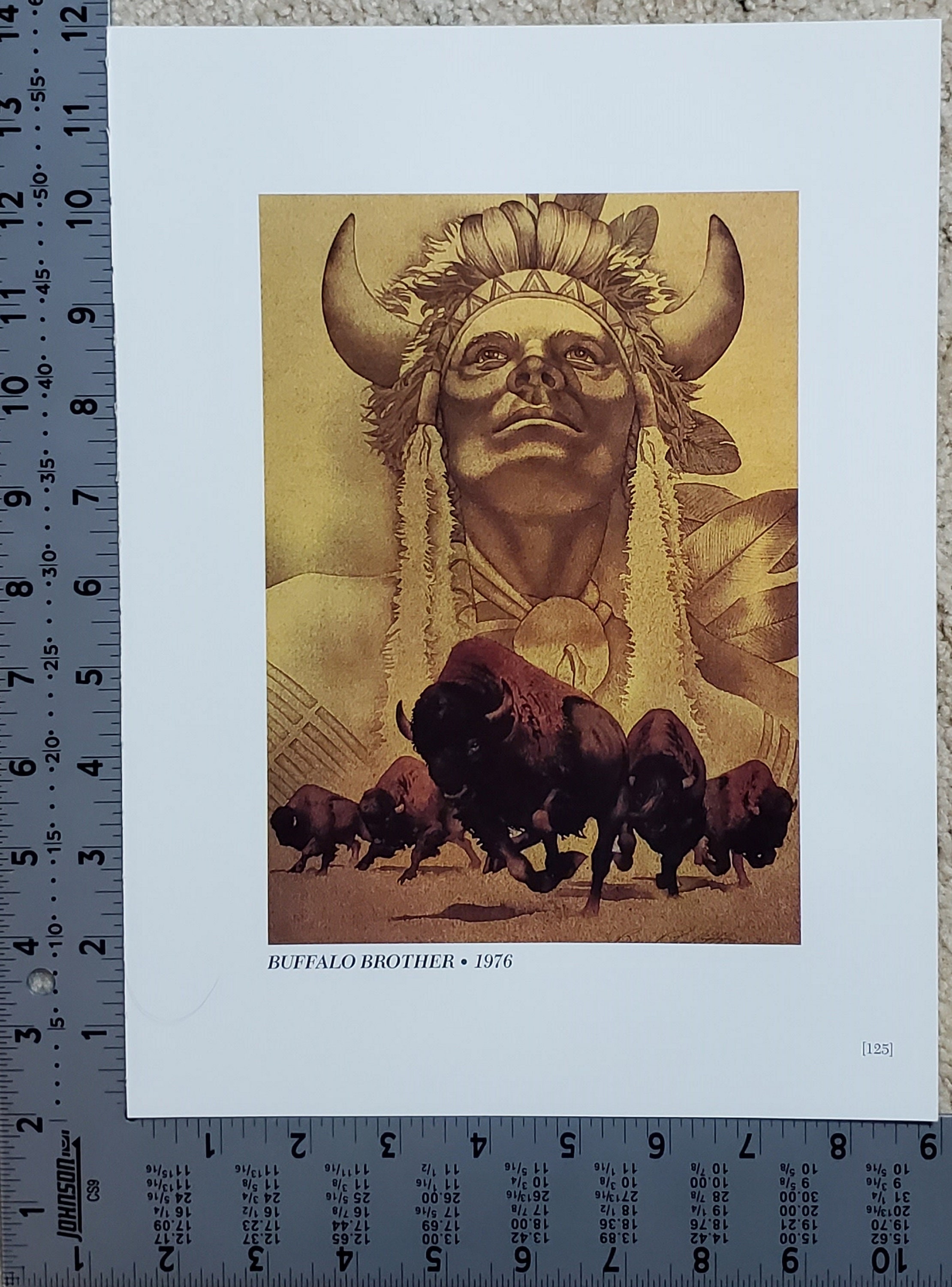 Buffolo Brother Sign Bev Doolittle “BUFFALO BROTHER” Bookplate Print Wall Art BD35 - Etsy