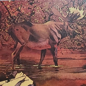 Bev Doolittle “ AUTUM SOLITUDE” Bookplate Print Wall Art BD12