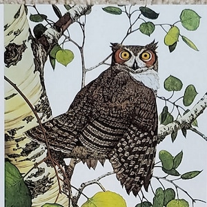 Bev Doolittle “WHOO?” Bookplate Print Wall Art BD21