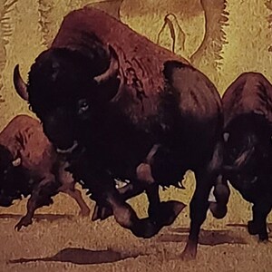 Bev Doolittle “BUFFALO BROTHER” Bookplate Print Wall Art BD35