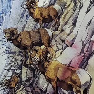 Bev Doolittle “ ALPINE DRIFTERS”  Bookplate Print Wall Art BD11
