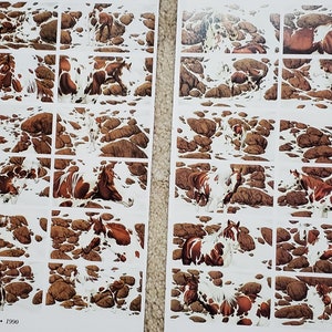 Bev Doolittle “HIDE AND SEEK” Bookplate Prints Wall Art BD43
