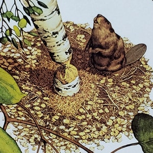 Bev Doolittle “WHOO BEAVER” Bookplate Print Wall Art BD22