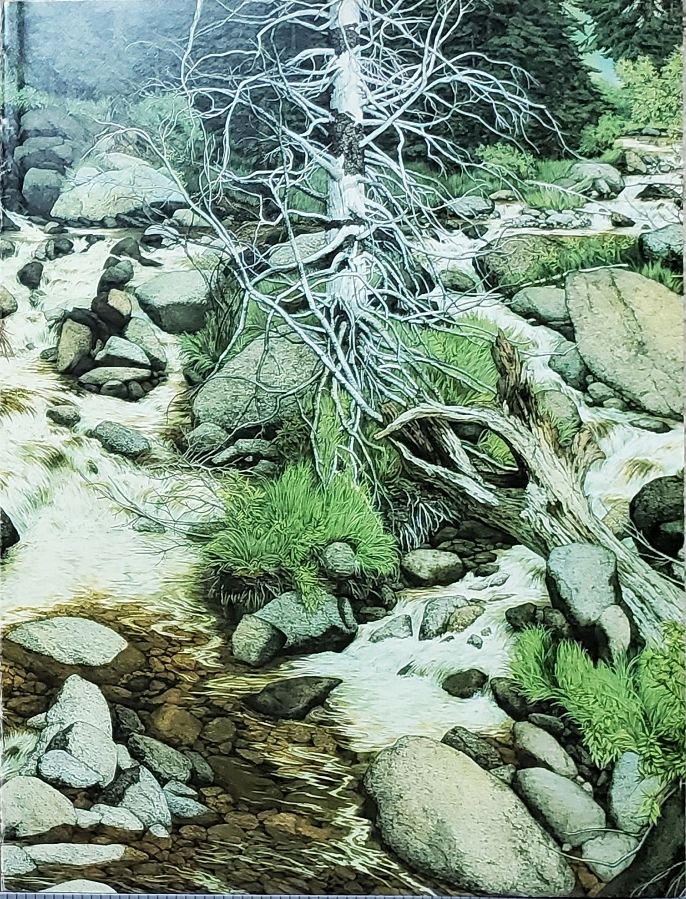 The art of Bev Doolittle