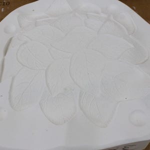 May include: A white, leaf-patterned mold with a raised design. The mold has a hexagonal shape with rounded edges and small, circular indentations. The surface is smooth with detailed leaf veins.