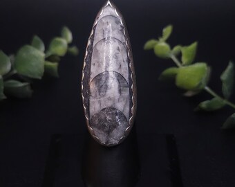 Orthoceras Fossil Ring