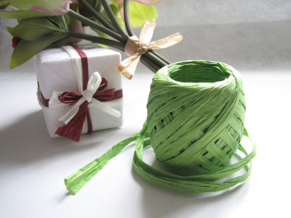 2 Rolls 30 Meter Paper Rope, Apple Green, Raffia Rope, Paper