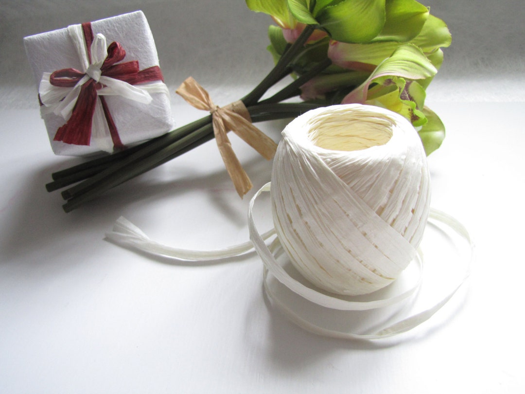 Raffle Rope 2 Rolls 30 Meter Paper Rope, Ivory, Raffia Rope, Paper Ribbon, Straw ...