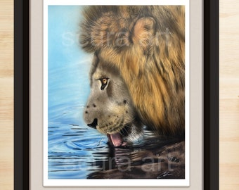Lion Drinking Water Art Print: Wildlife Animal Painting