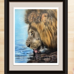 Lion Drinking Water Art Print: Wildlife Animal Painting