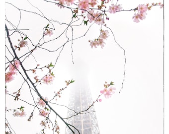 Eiffel Tower Cherry Blossom Print: Paris Photography Wall Art