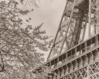 Eiffel Tower Cherry Blossom Print: Black and White Paris Photography