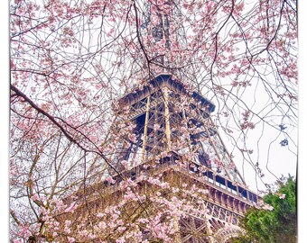 Impresión de la Torre Eiffel en flor de cerezo: fotografía parisina, arte floral para pared