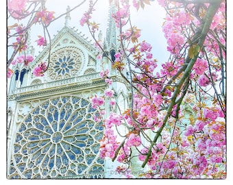 Paris in Bloom, Flower Photography,Paris Wall Art, Paris in Spring, Paris Photography, Paris Pictures, Notre Dame de Paris Photo, Wall Art