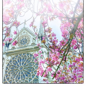 Notre Dame Cathedral Photo: Paris in Bloom Photography Wall Art
