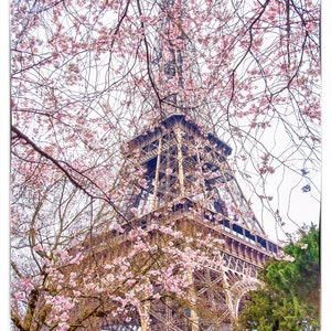 Eiffel in Bloom, Cherry Blossom Art, Paris Photography,  Floral Photography, Paris Wall Art, Paris Room Decor, Home Decor, Paris Print,