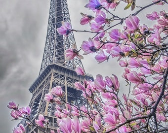 Eiffel Tower Photography: Paris Floral Spring Decor