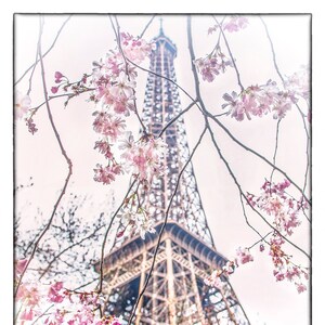 Cherry Blossom Photo Art, Paris Home Decor, Paris Photography, Wall Art, Paris Floral Photography , Paris Wall Art Prints, Home Decor