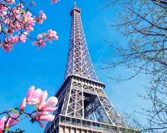Eiffel Tower Spring Photograph: Paris Pink Floral Wall Art